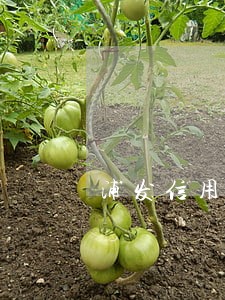 浦发信用卡 万用金逾期 浦发信用卡 万用金逾期